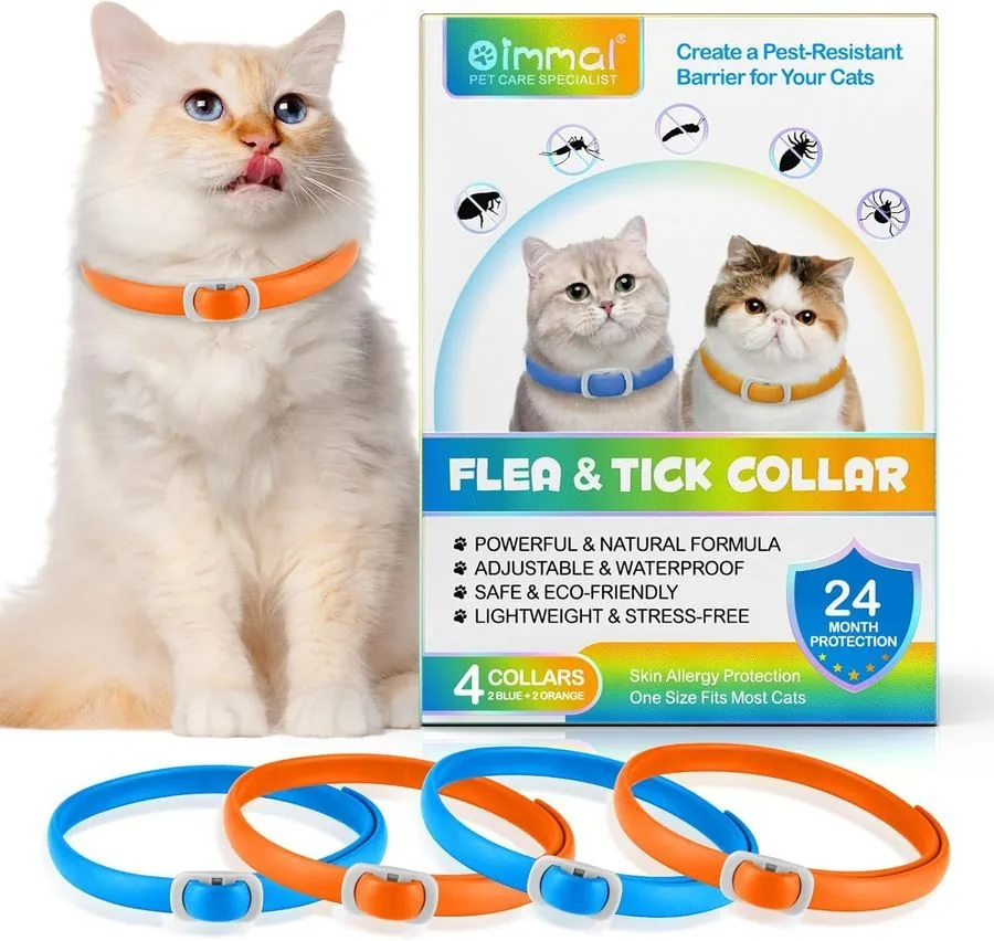 Bleu Orange