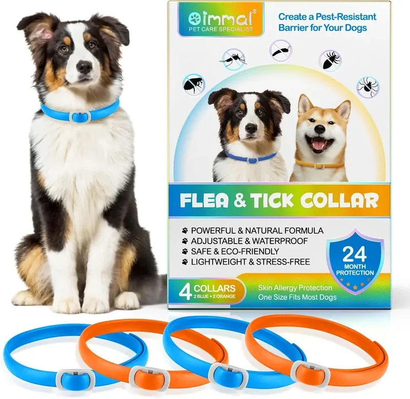 Bleu Orange