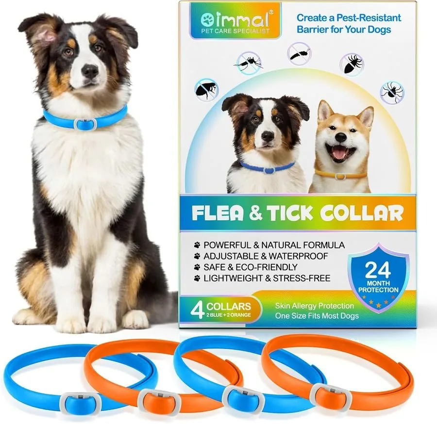 Bleu Orange
