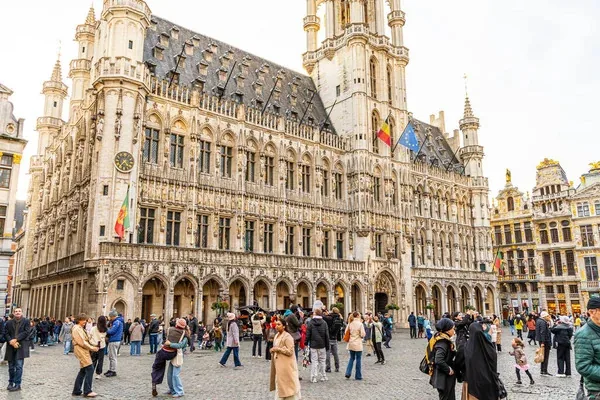 Collier-Protect, entreprise basée à Bruxelles, Belgique